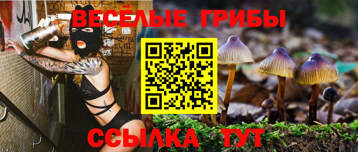 Галлюциногенные грибы Cubensis Апатиты
