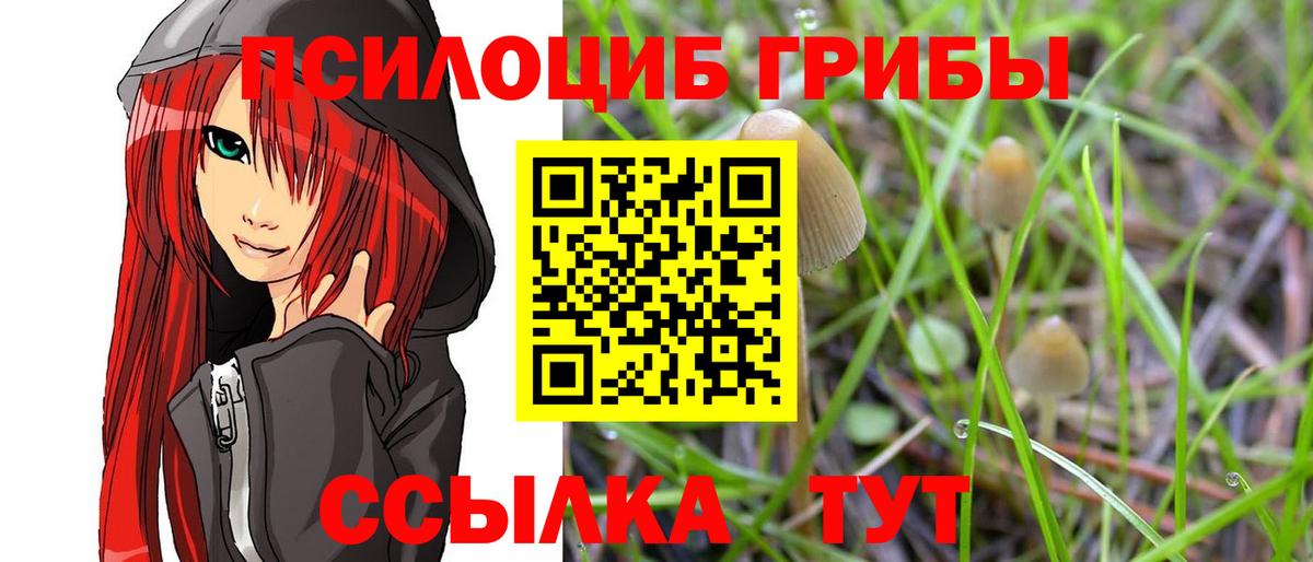 Галлюциногенные грибы MAGIC MUSHROOMS  Вход с VPN  Апатиты 